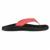 Olukai - Women's Ohana - Sandales